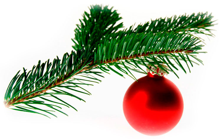 Weihnachtszweig